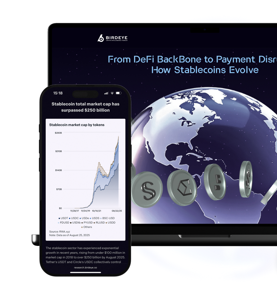 Stablecoin Report Banner
